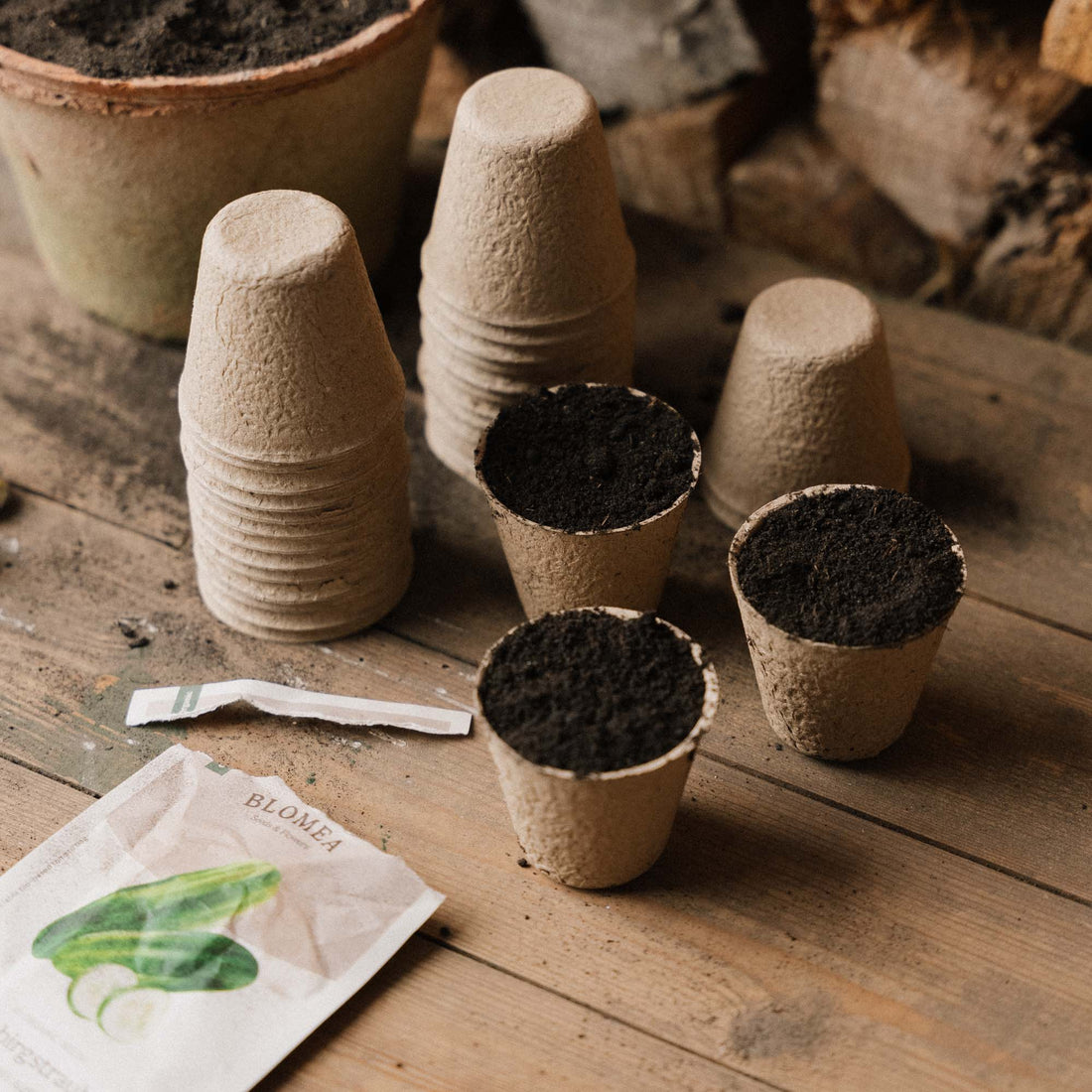 Abbaubarer Fasertopf 5cm, 24 Stück