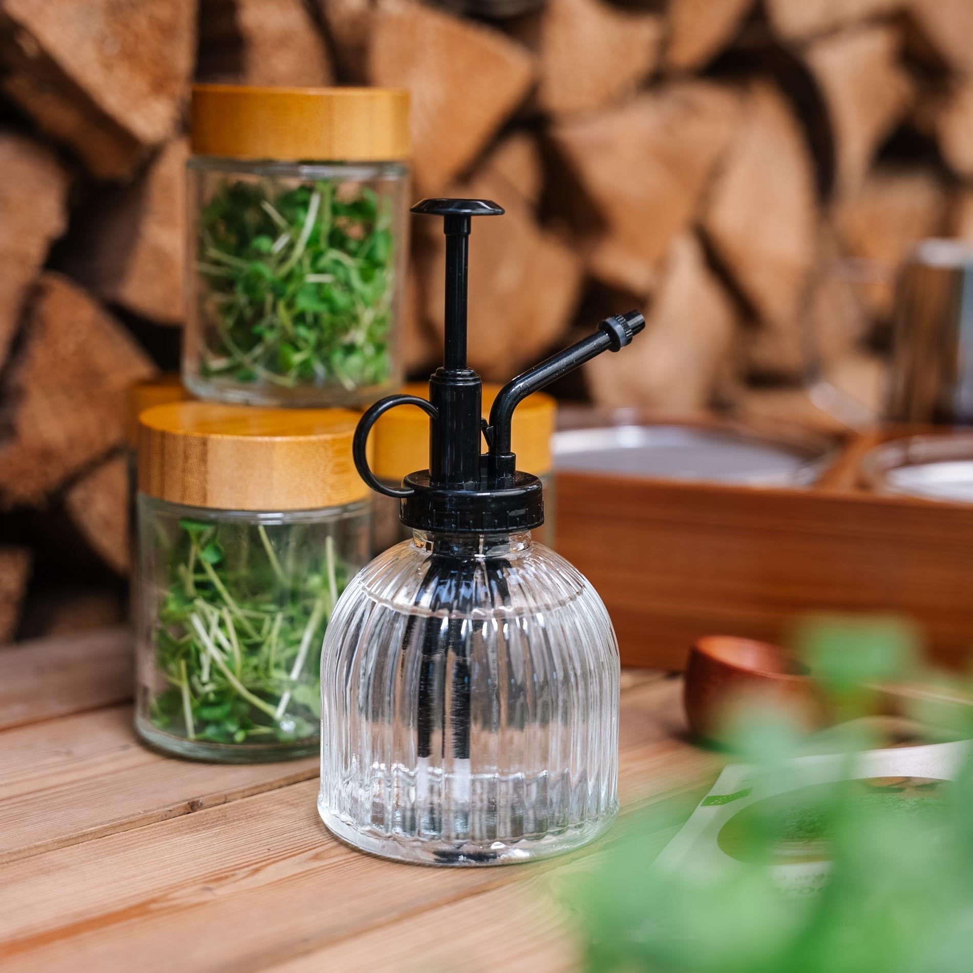 Alles - in - einem Microgreens - Paket - 10 Beutel Bio - Samen