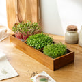 Alles-in-einem Microgreens-Paket - 10 Beutel Bio-Samen