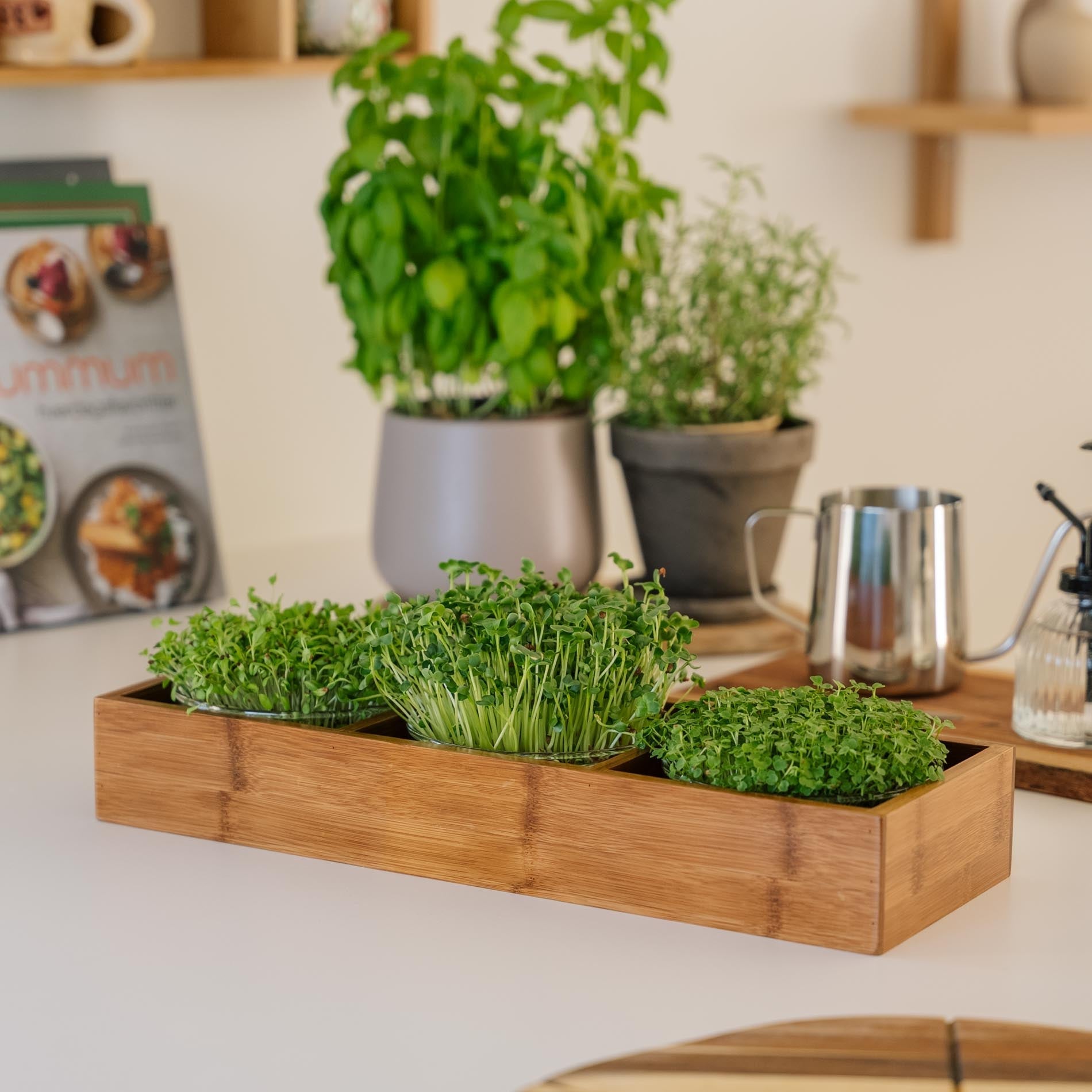 Alles - in - einem Microgreens - Paket - 10 Beutel Bio - Samen