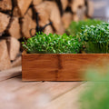 Alles - in - einem Microgreens - Paket - 10 Beutel Bio - Samen