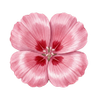 Blumensamen