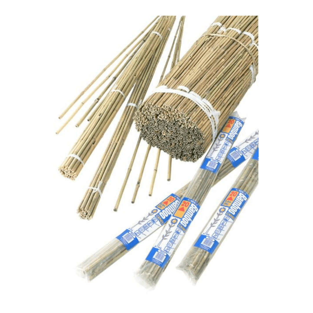 Bambusstäbe Bündel, L 60 cm, 20 stück