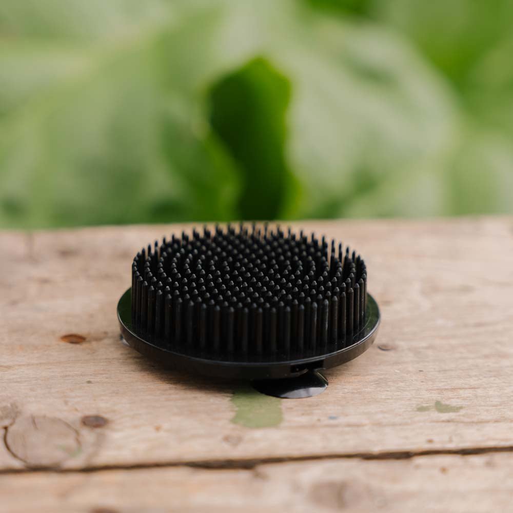 Blumenhalter, schwarz (Plastik), Ø: 6,9 cm