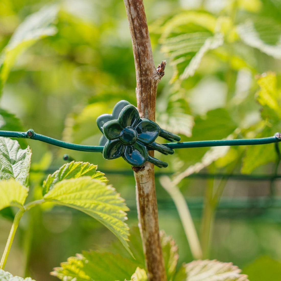 Blumenklammern, 10 stück