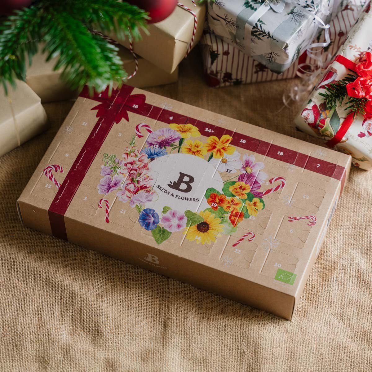 Blumensamen Adventskalender