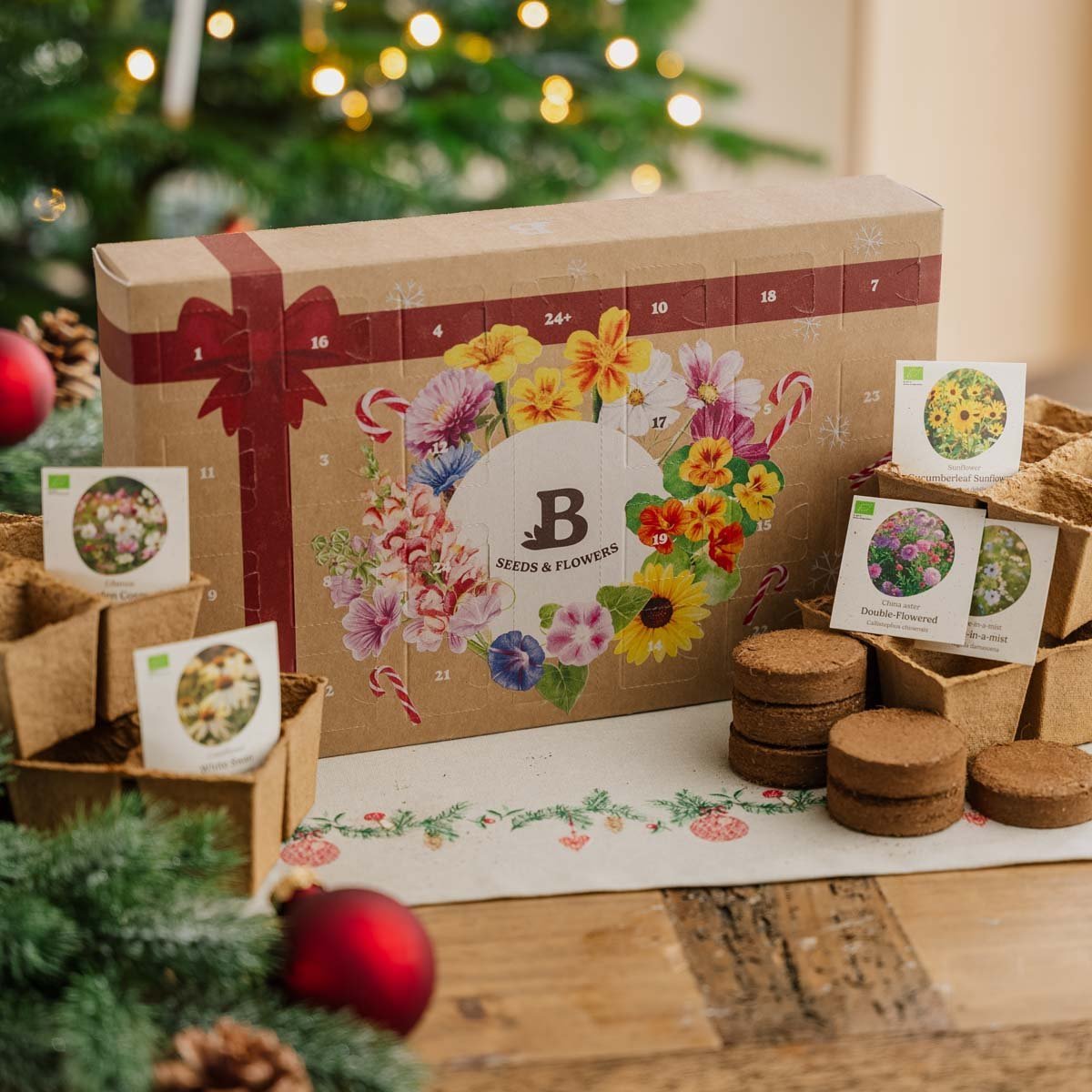 Blumensamen Adventskalender