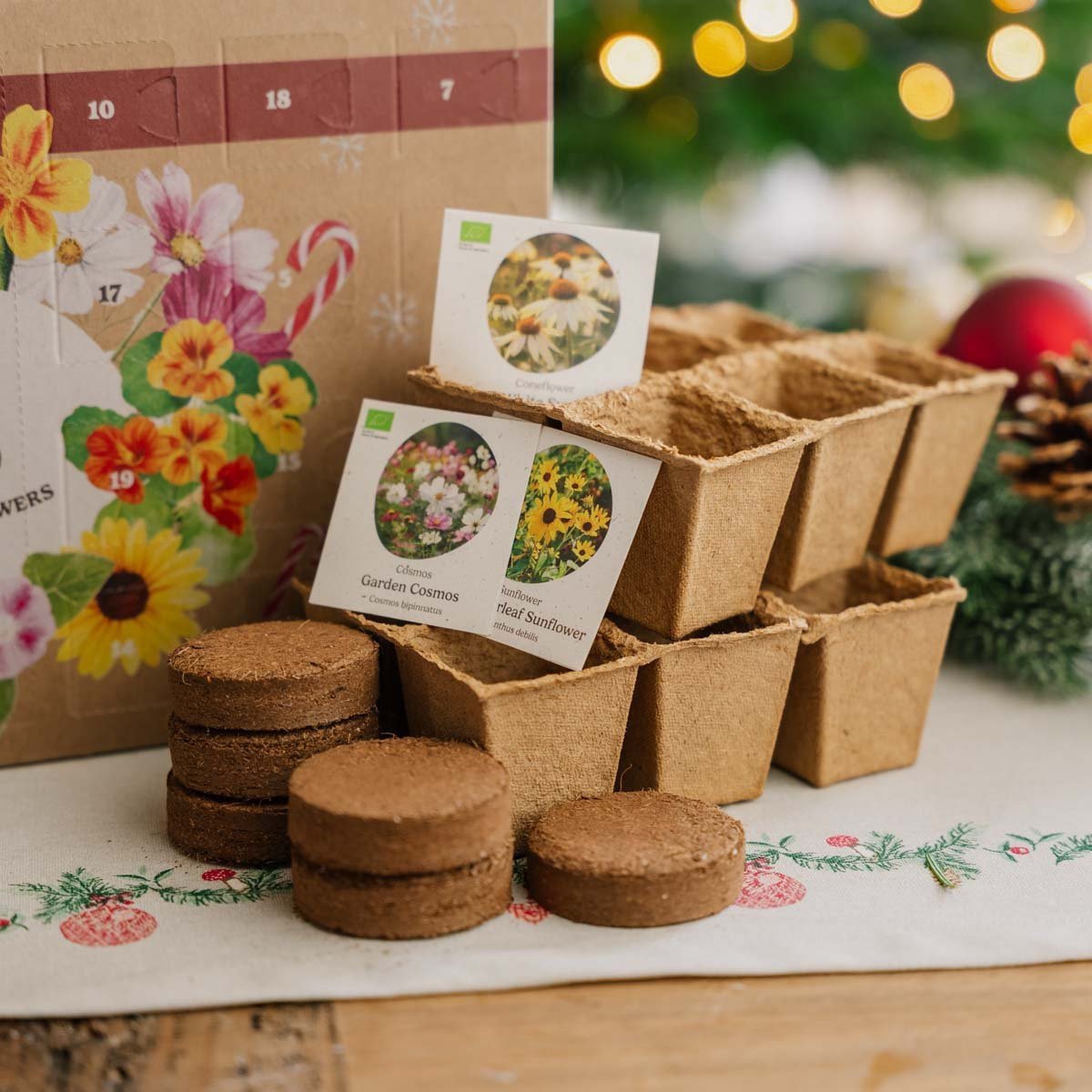 Blumensamen Adventskalender