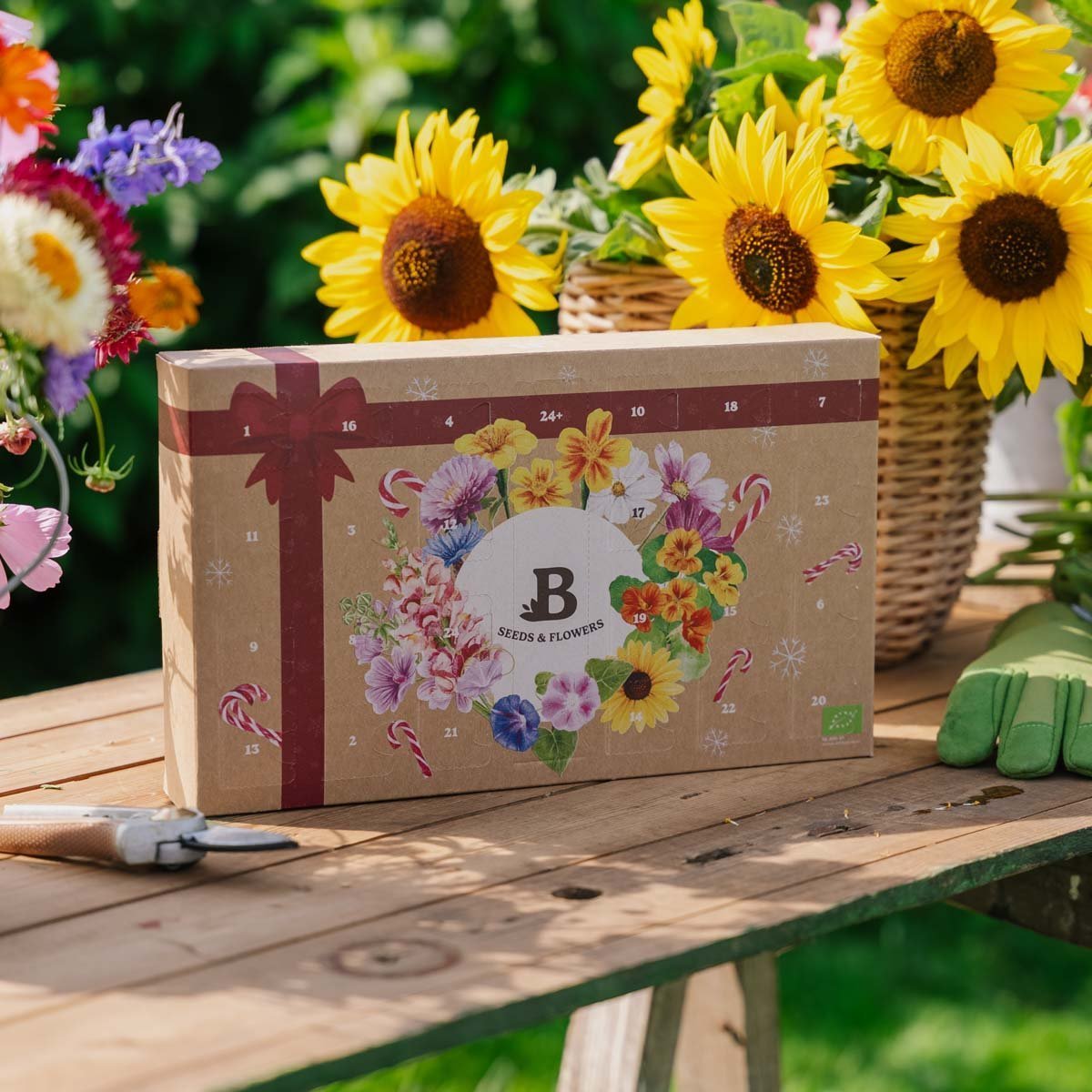 Blumensamen Adventskalender