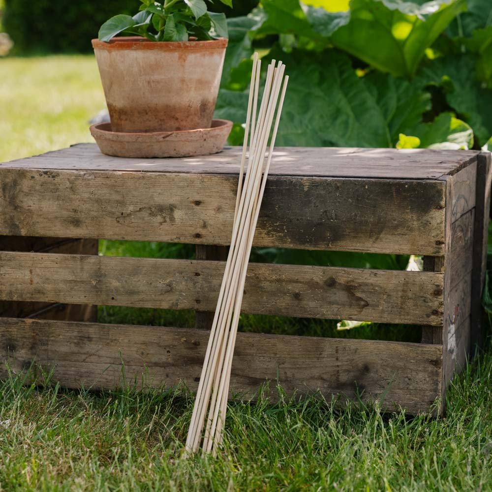 Blumenstäbe. H60 cm 10 stück/Bd.