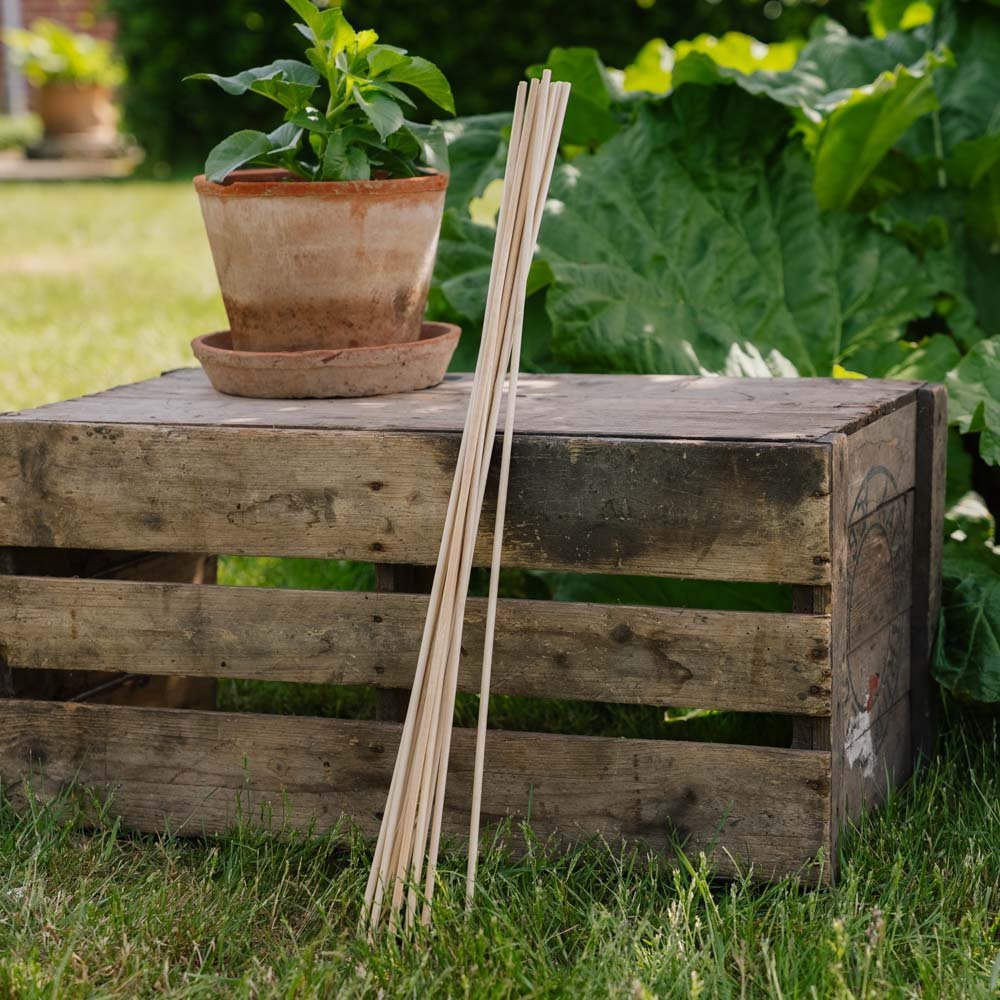 Blumenstäbe. H70 cm 10 stück/Bd.