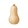 Gemüsesamen