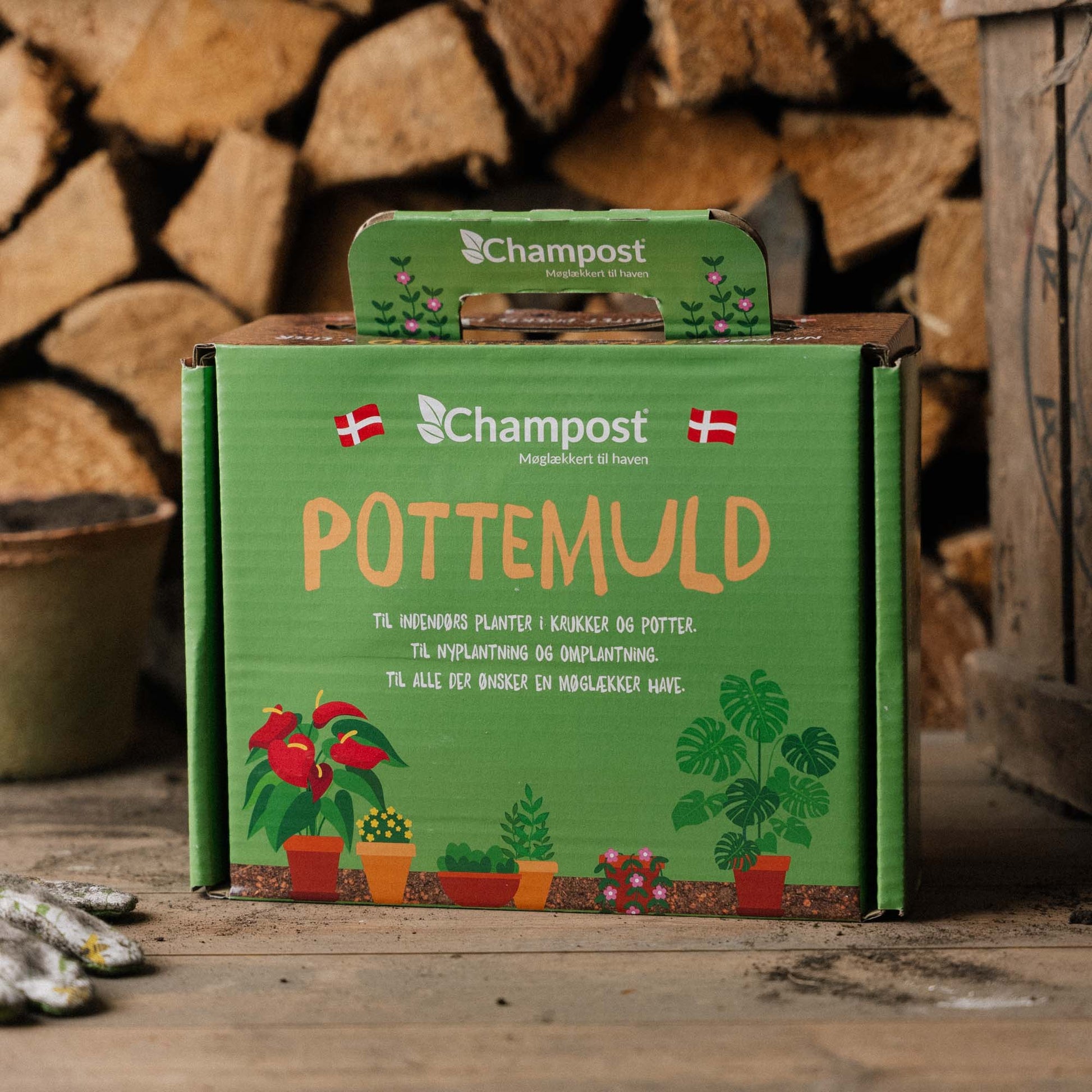 Champost Blumenerde im Koffer, 4L