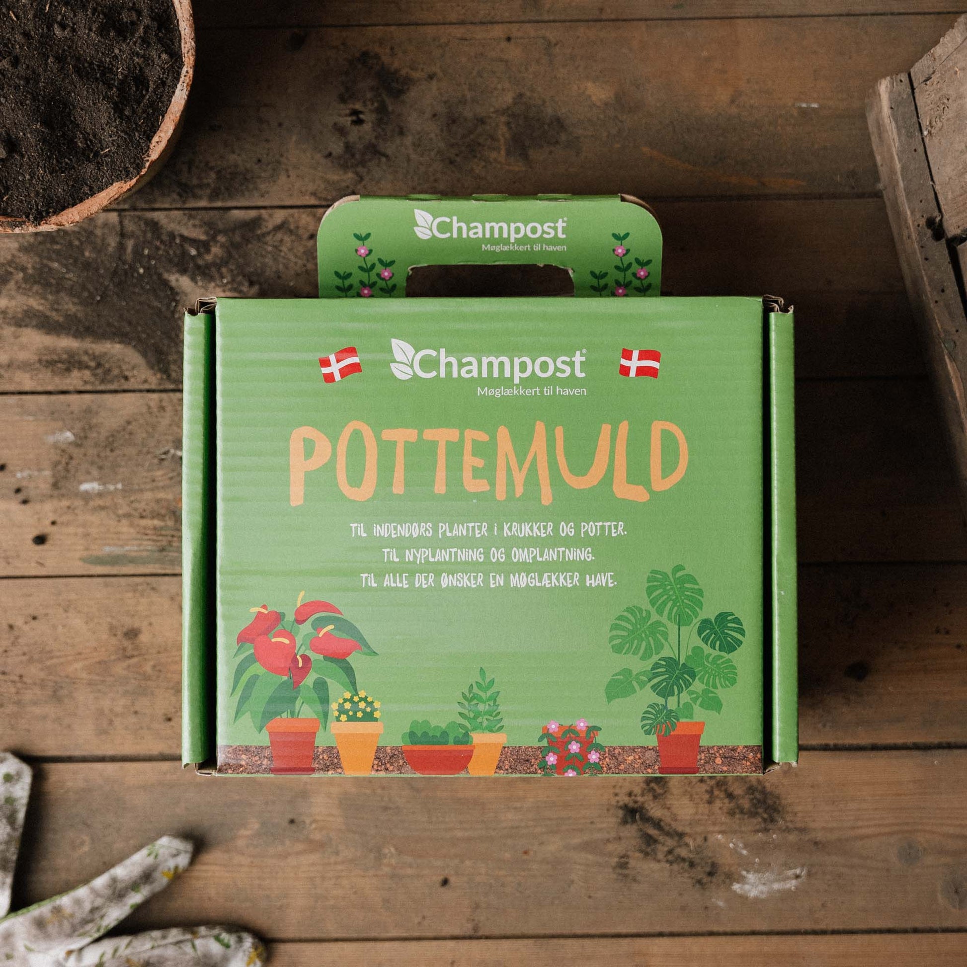 Champost Blumenerde im Koffer, 4L