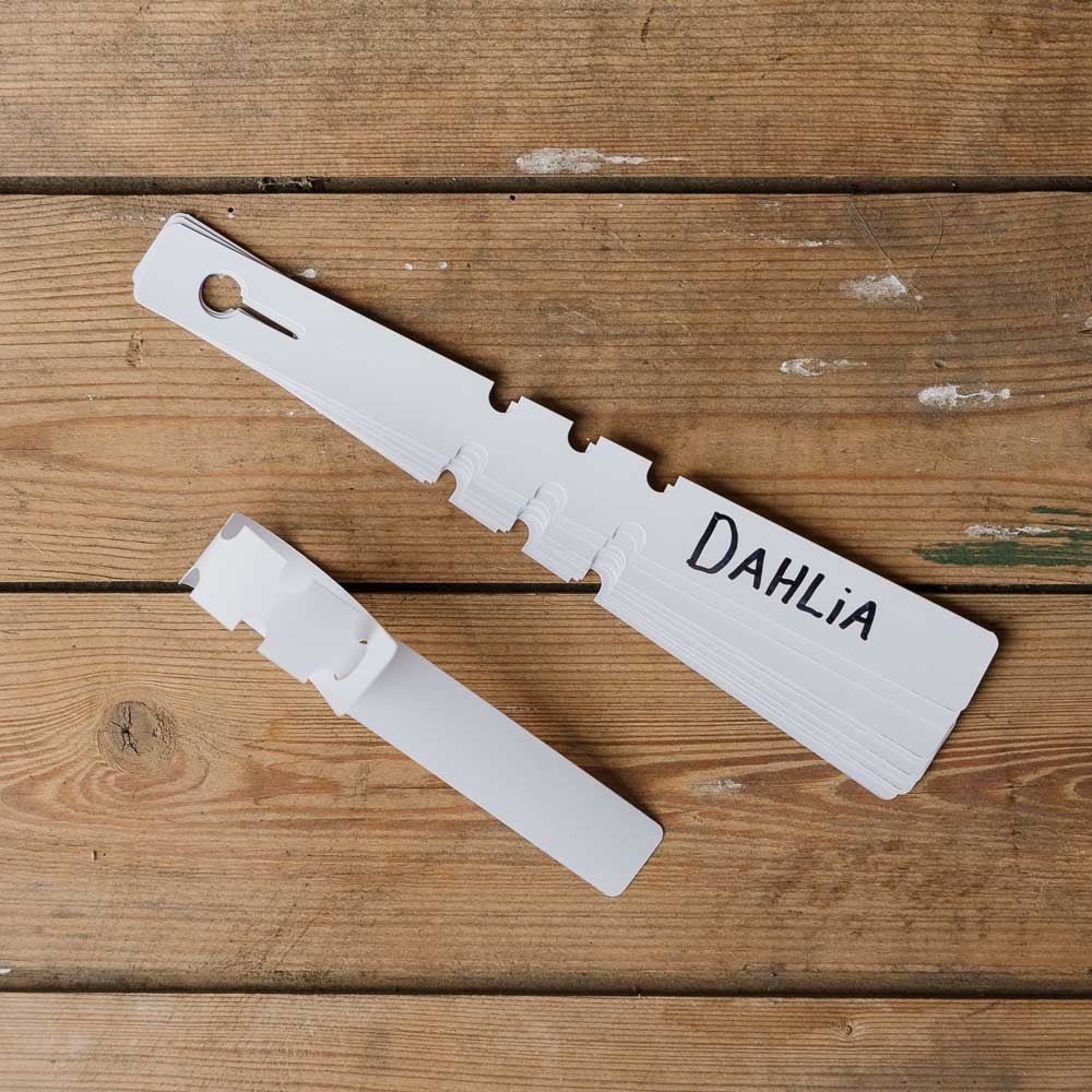 Dahlien Etiketten