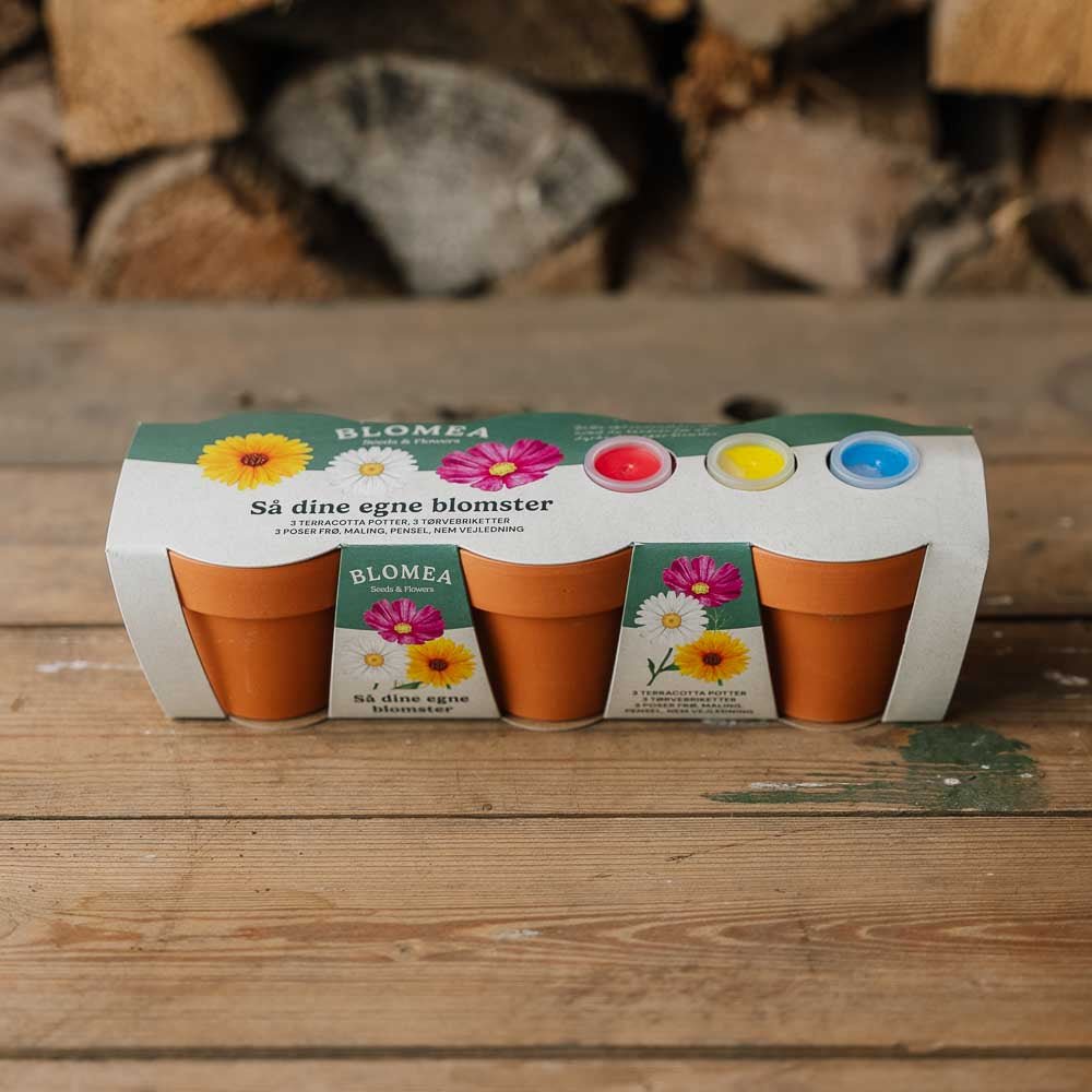 Das kreative Blumenset