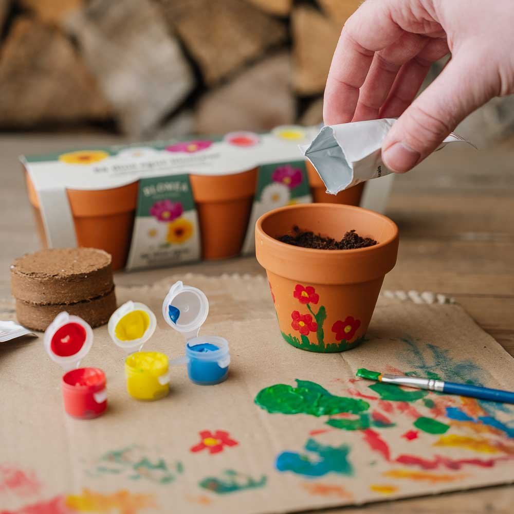 Das kreative Blumenset