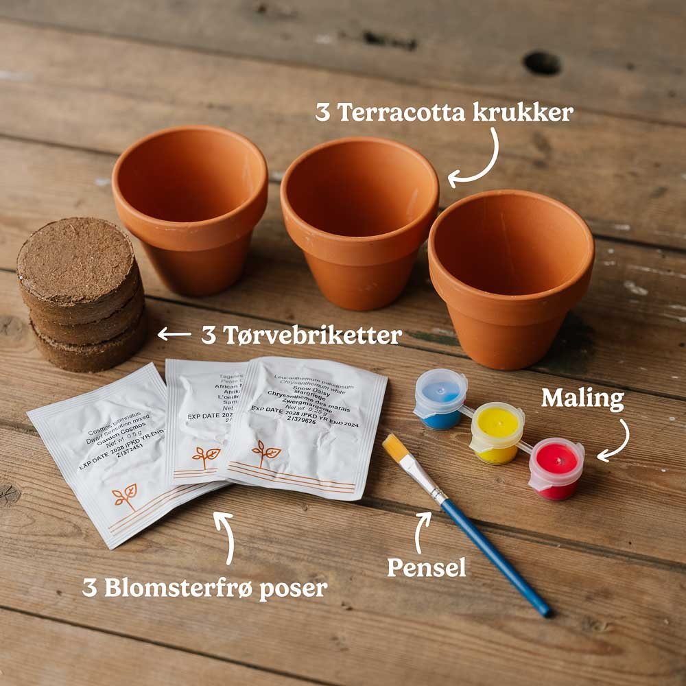 Das kreative Blumenset