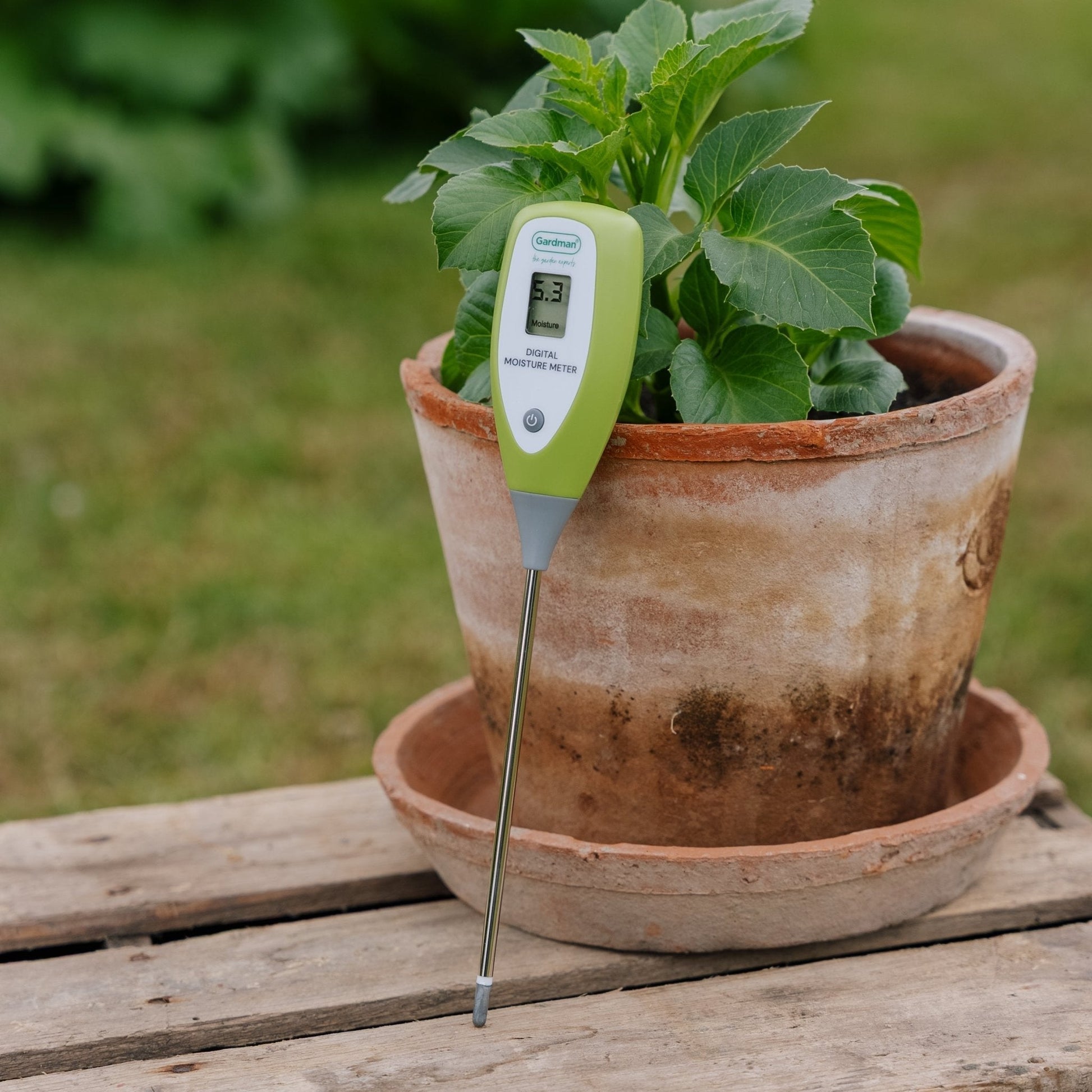 Digitales Feuchtigkeitsmessgerät