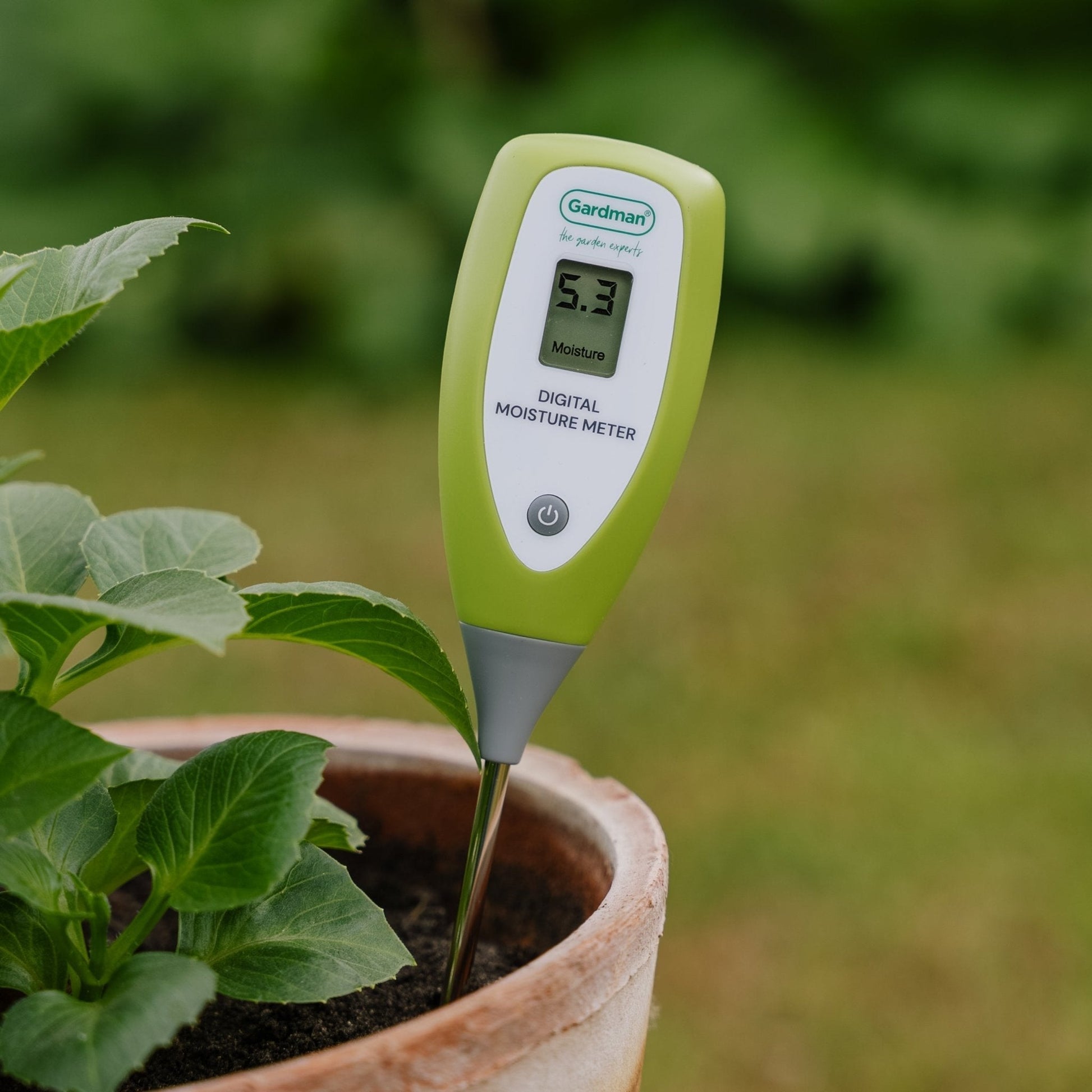 Digitales Feuchtigkeitsmessgerät