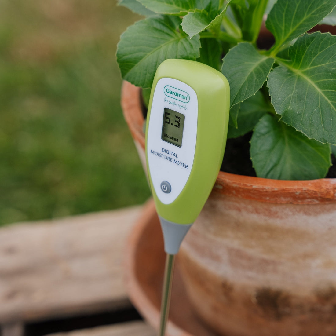 Digitales Feuchtigkeitsmessgerät