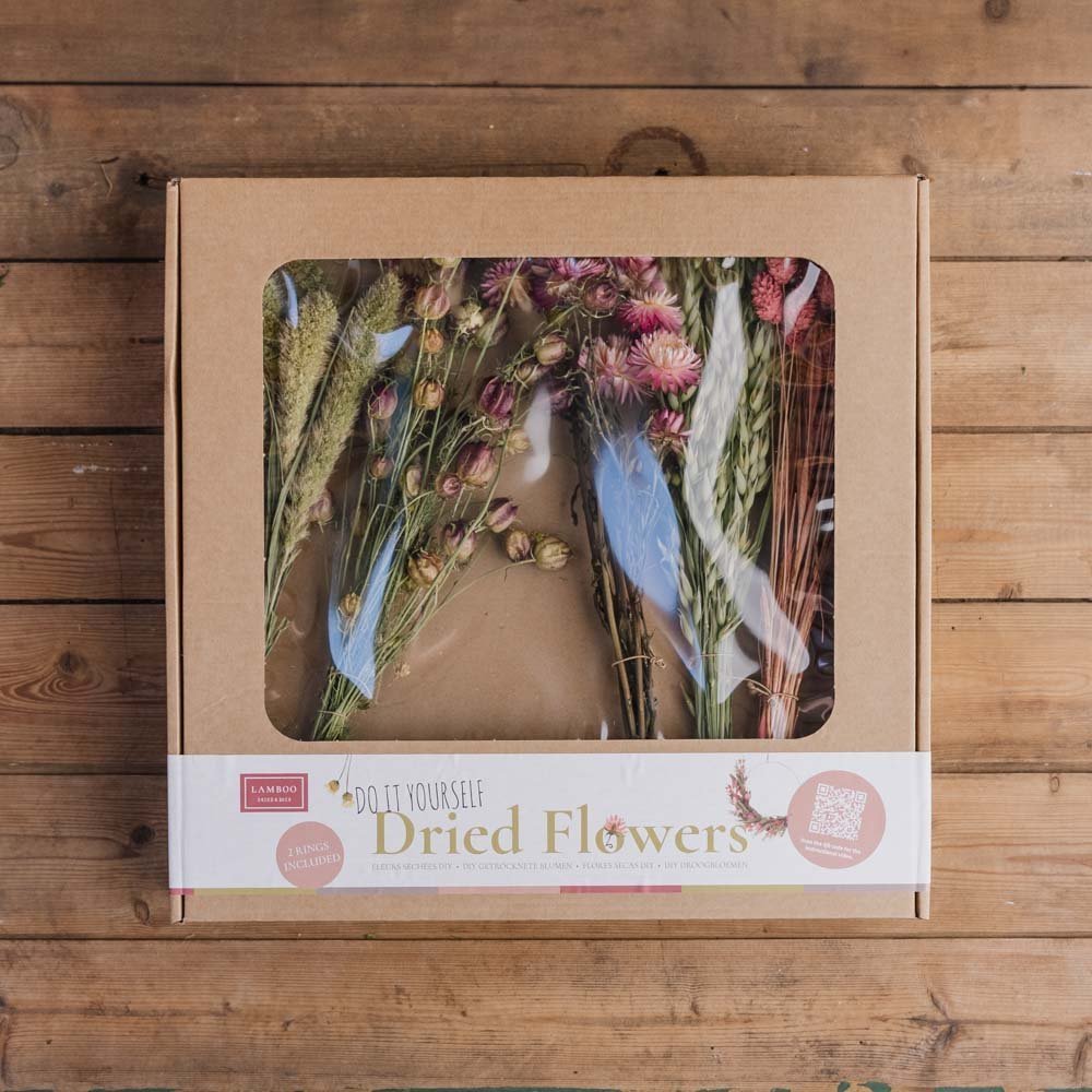 DIY Box Isabella, Trockenblumensträuße mit Ringen, H: 38 cm