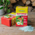 ECOstyle Ferramol Schneckenkorn, 500g