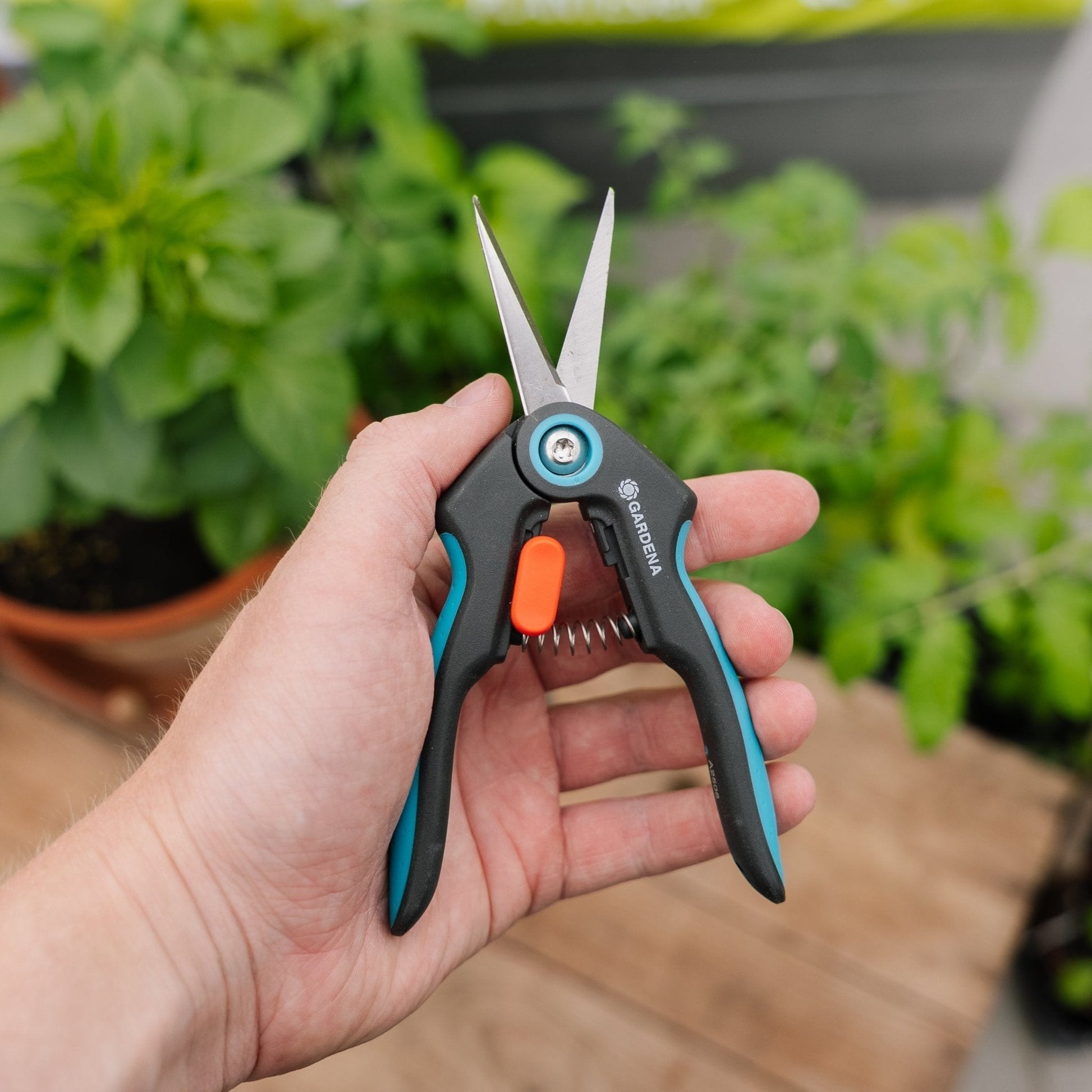 FreshCut Kräuterschere