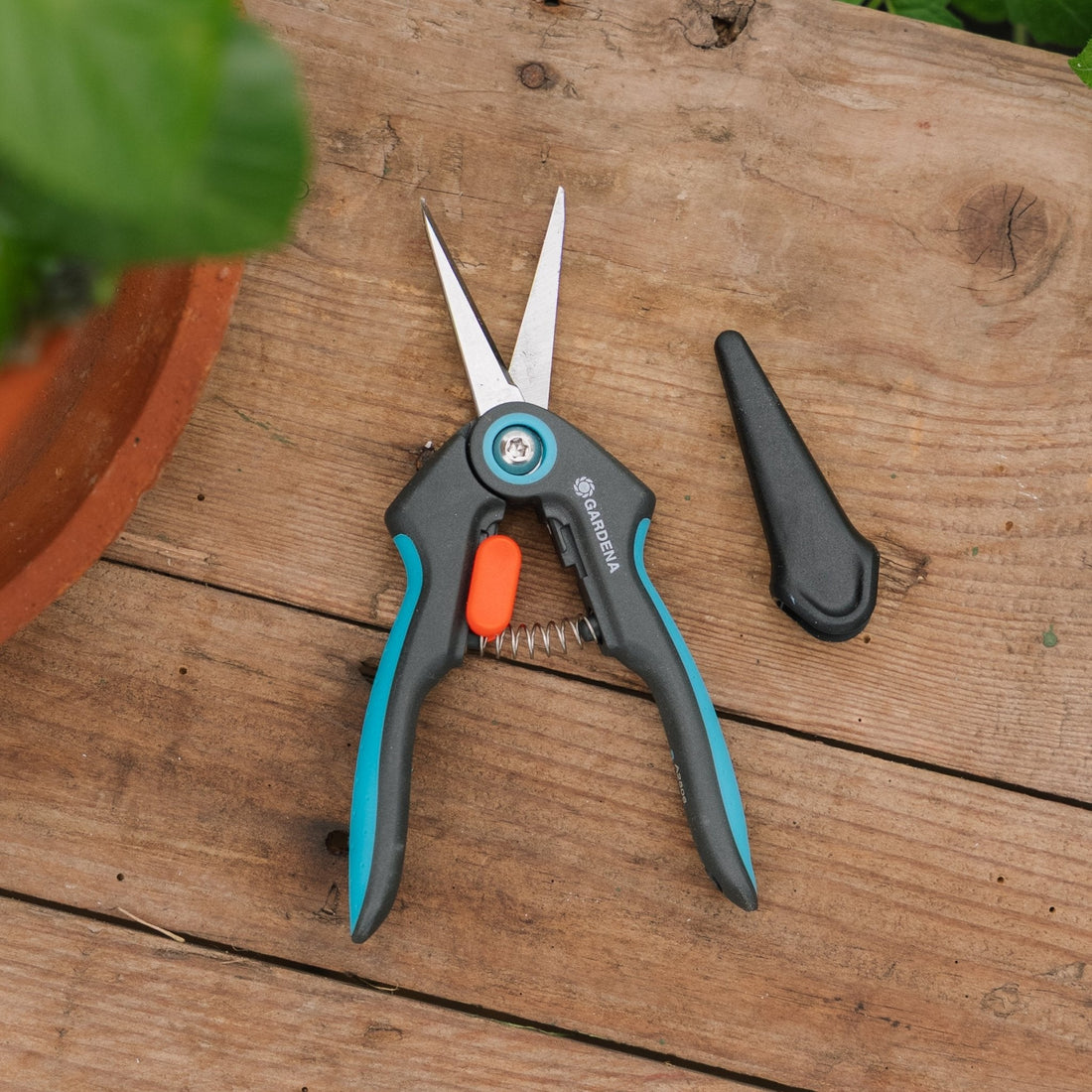 FreshCut Kräuterschere