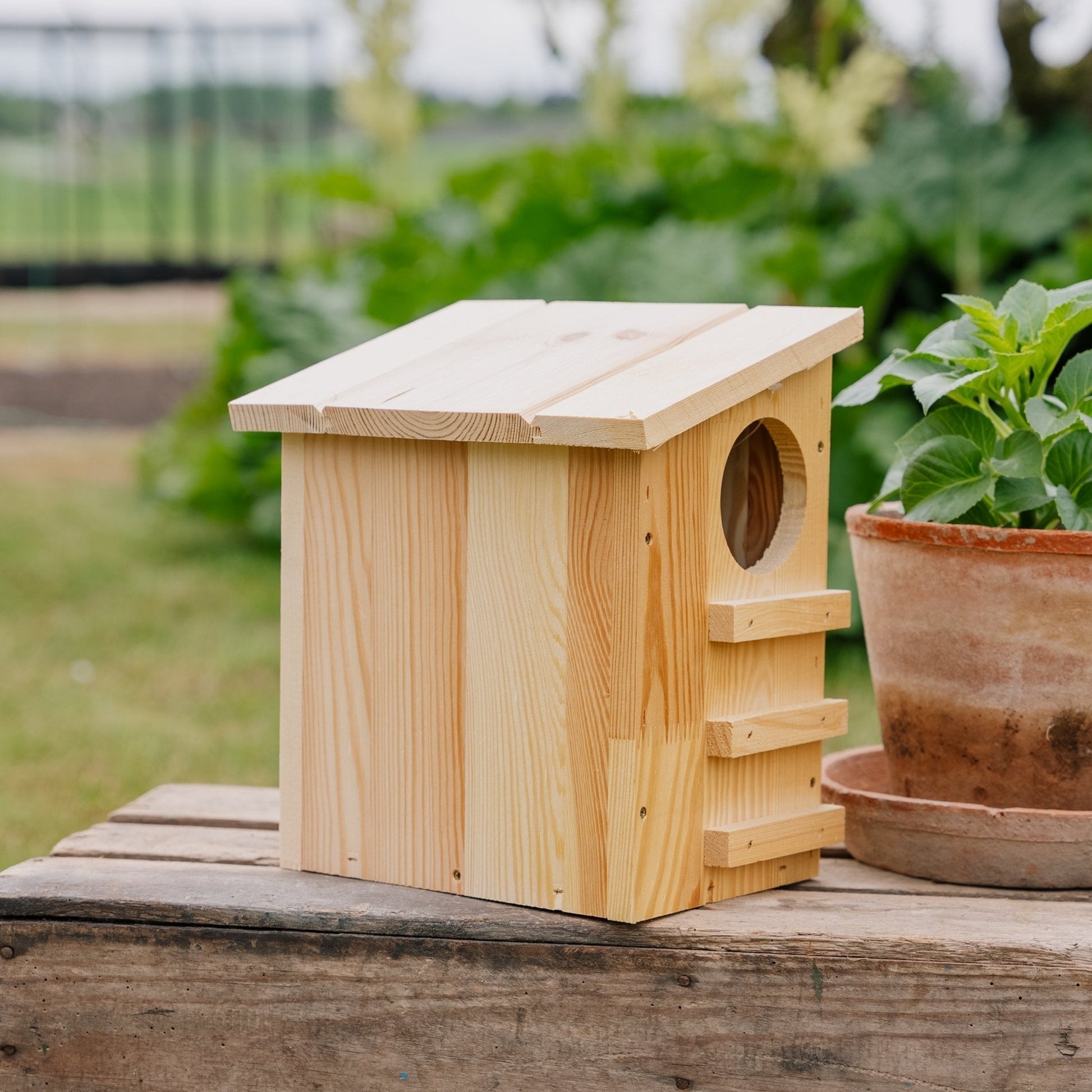 Futterhaus, Eichhörnchen, L: 19 cm B: 26 cm H: 29 cm