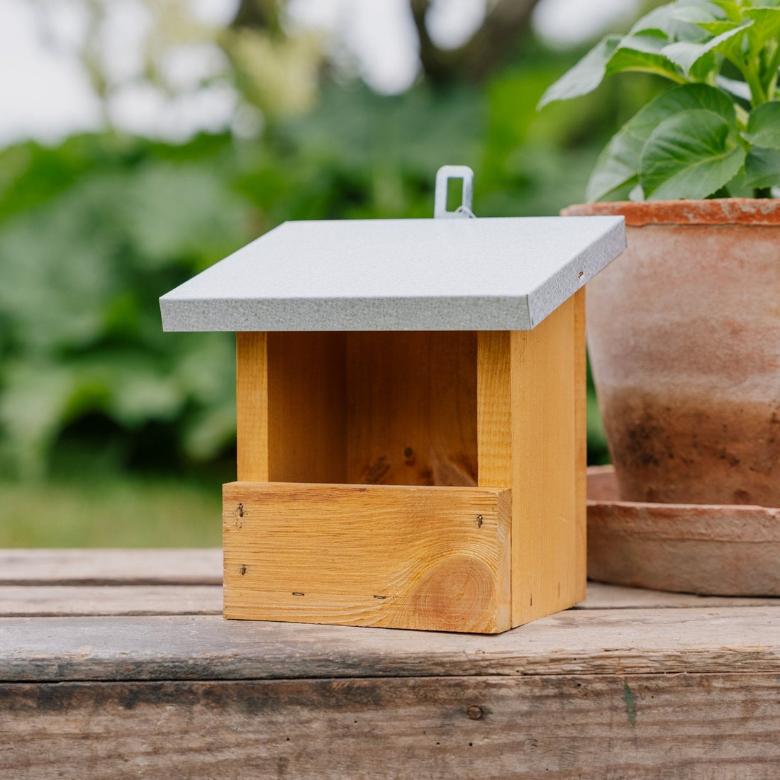 Futterhaus, Rotkehlchen, L: 13 cm B: 17 cm H: 20 cm