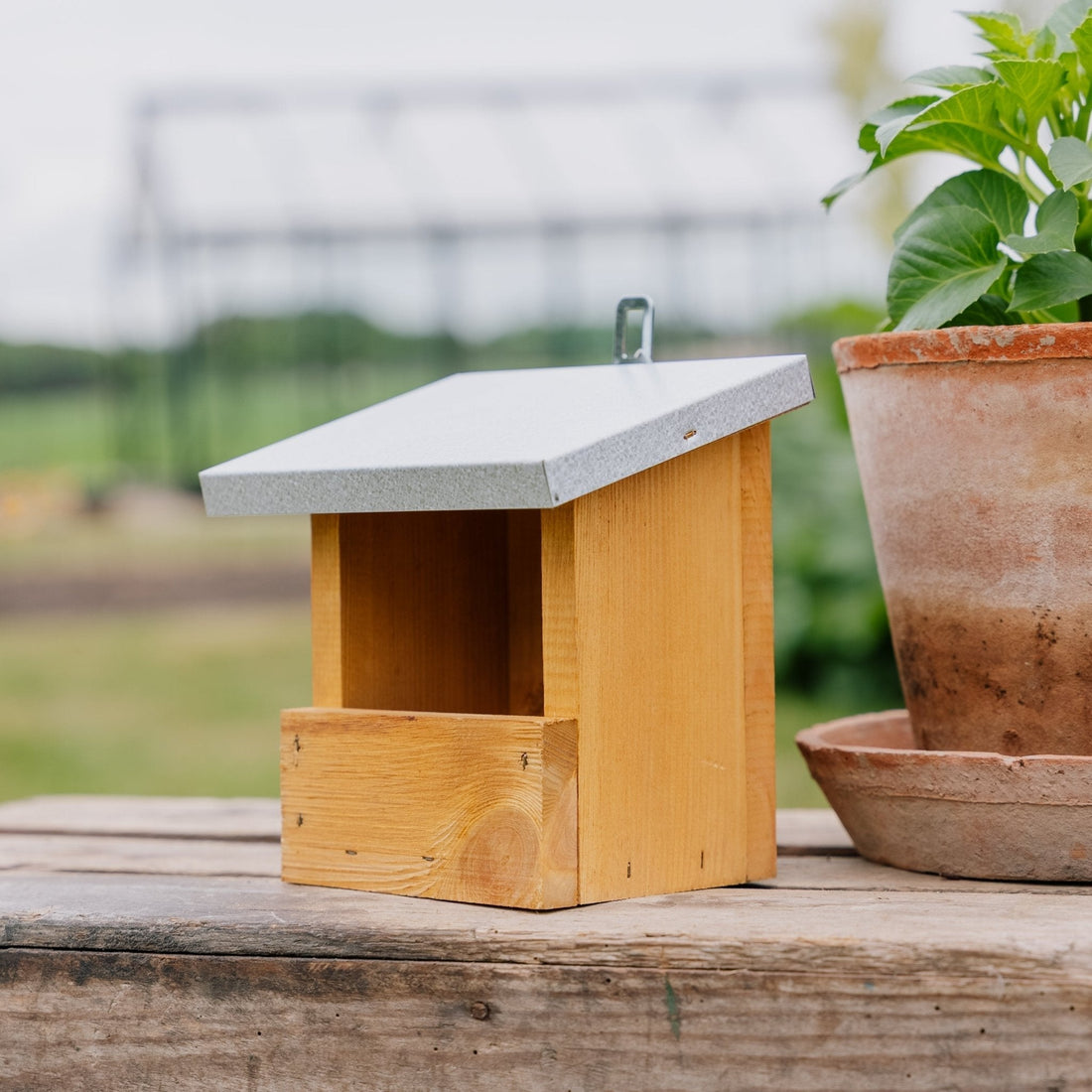 Futterhaus, Rotkehlchen, L: 13 cm B: 17 cm H: 20 cm