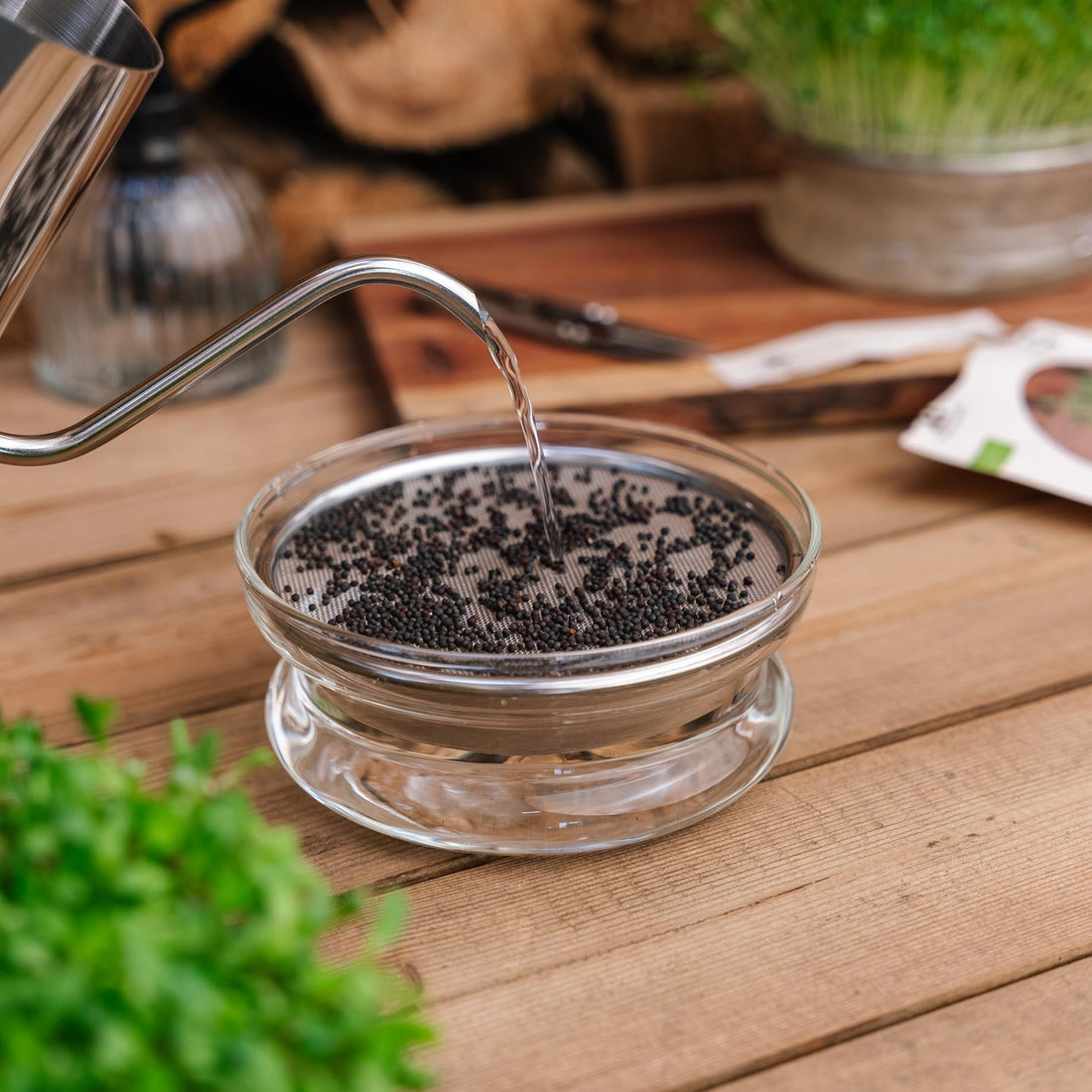 Gießkanne für Microgreens, 0,55 L