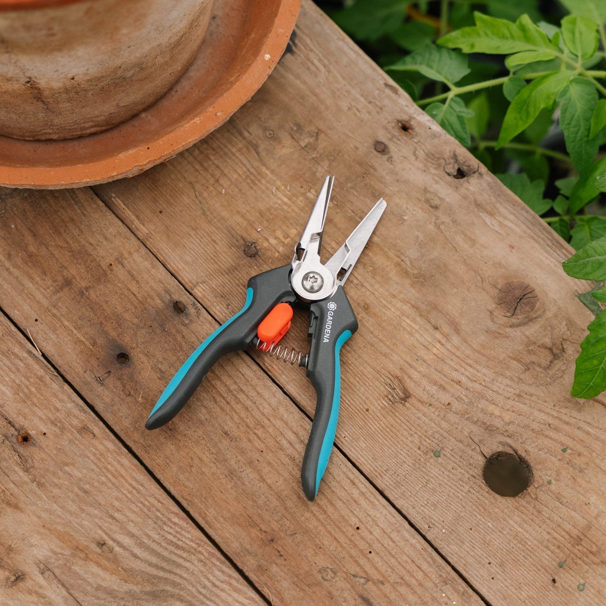 GripCut Kräuterschere mit Greiffunktion