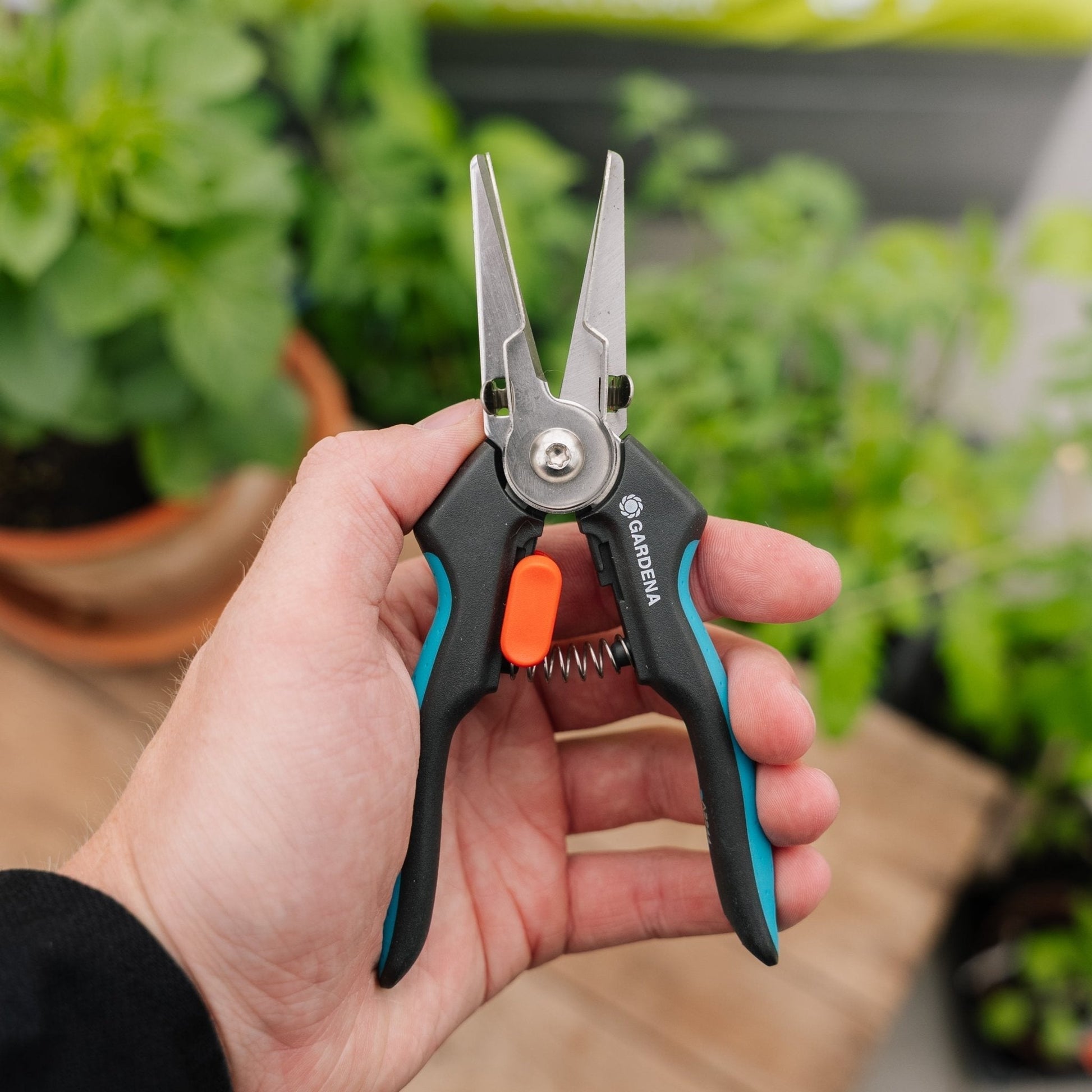 GripCut Kräuterschere mit Greiffunktion