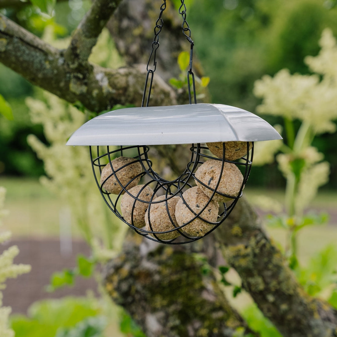 Halbmond Meisenknödelautomat, inkl. 6 Meisenknödel