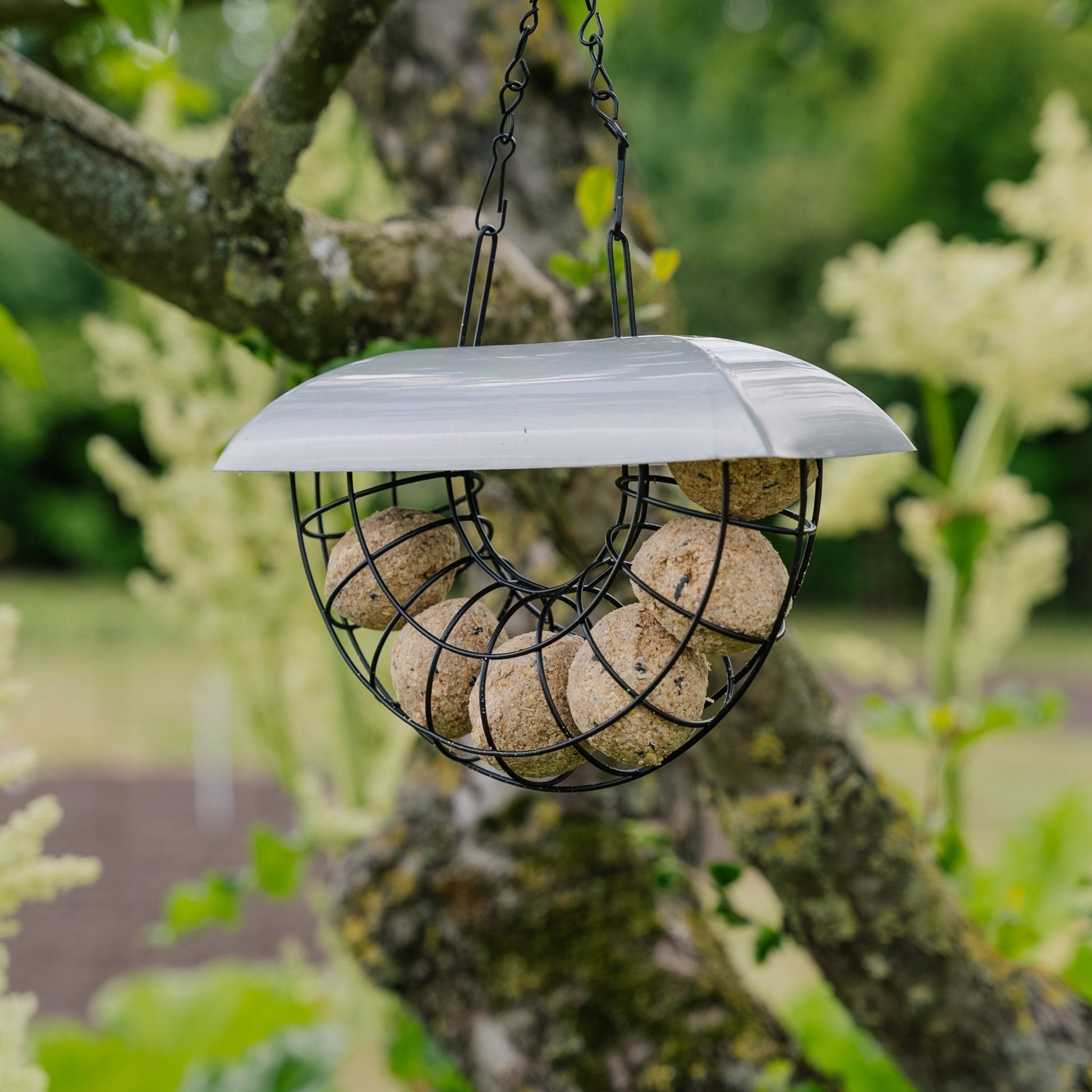 Halbmond Meisenknödelautomat, inkl. 6 Meisenknödel