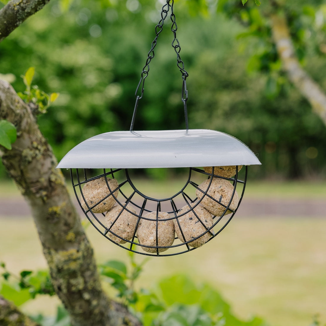 Halbmond Meisenknödelautomat, inkl. 6 Meisenknödel