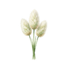 Blumensamen