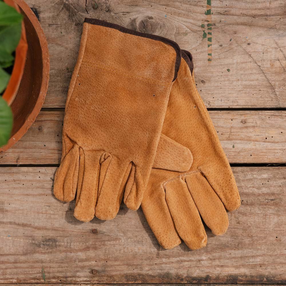 Hautgartenhandschuhe, Einheitsgröße