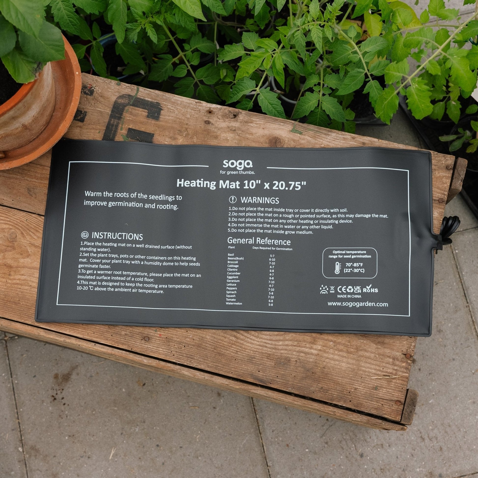 Heizplatte für Vorkeimung, 21W