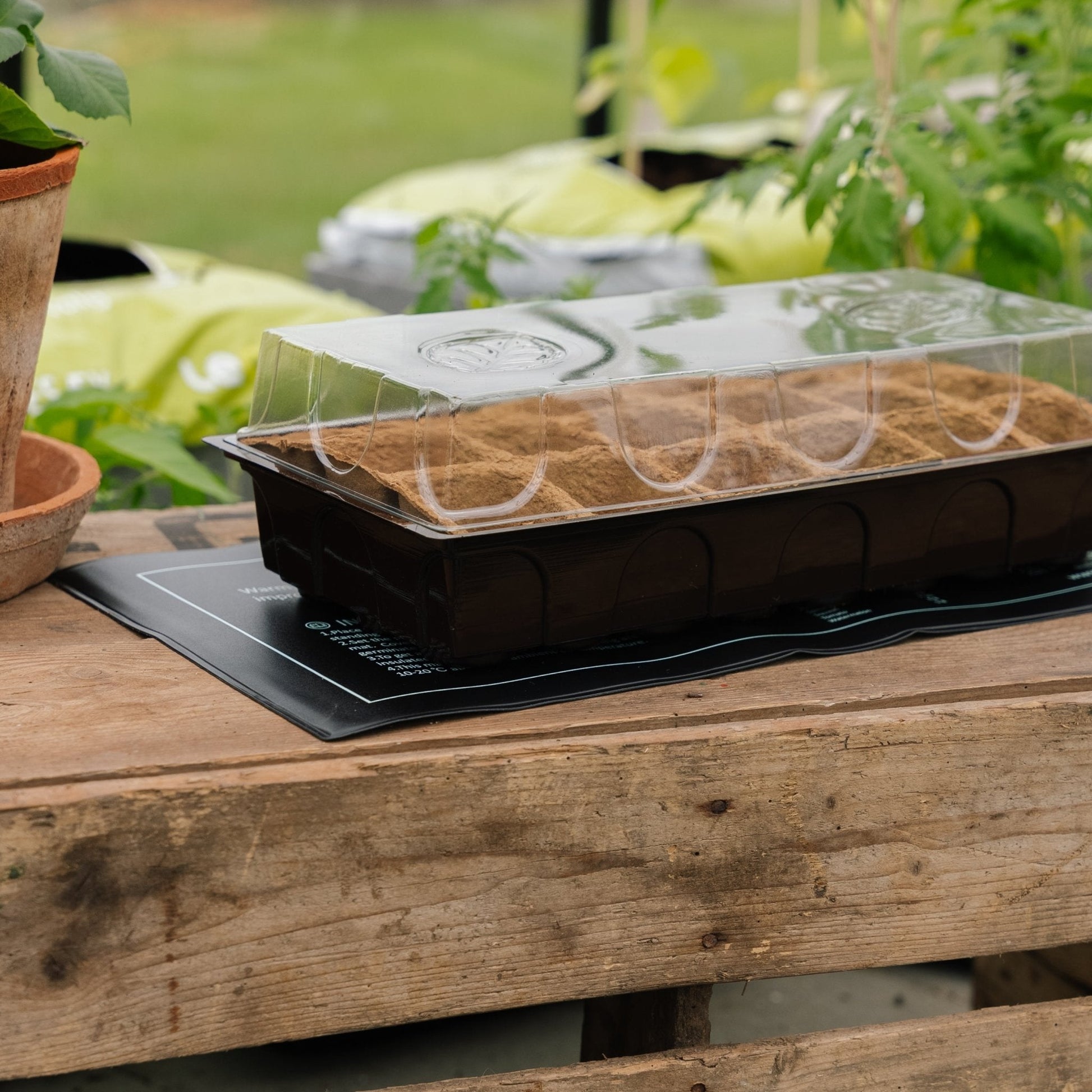 Heizplatte für Vorkeimung, 21W