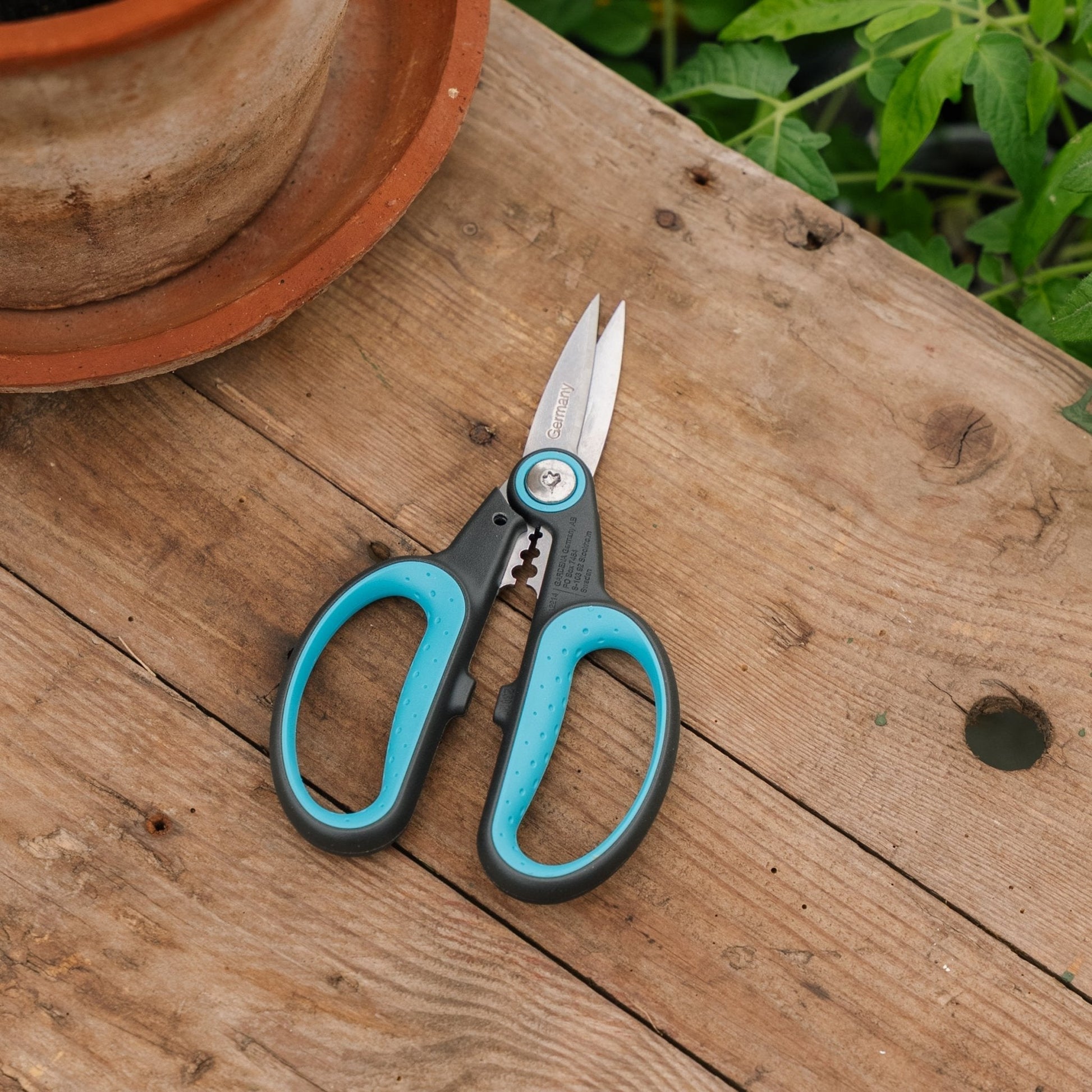 HerbCut Kräuterschere