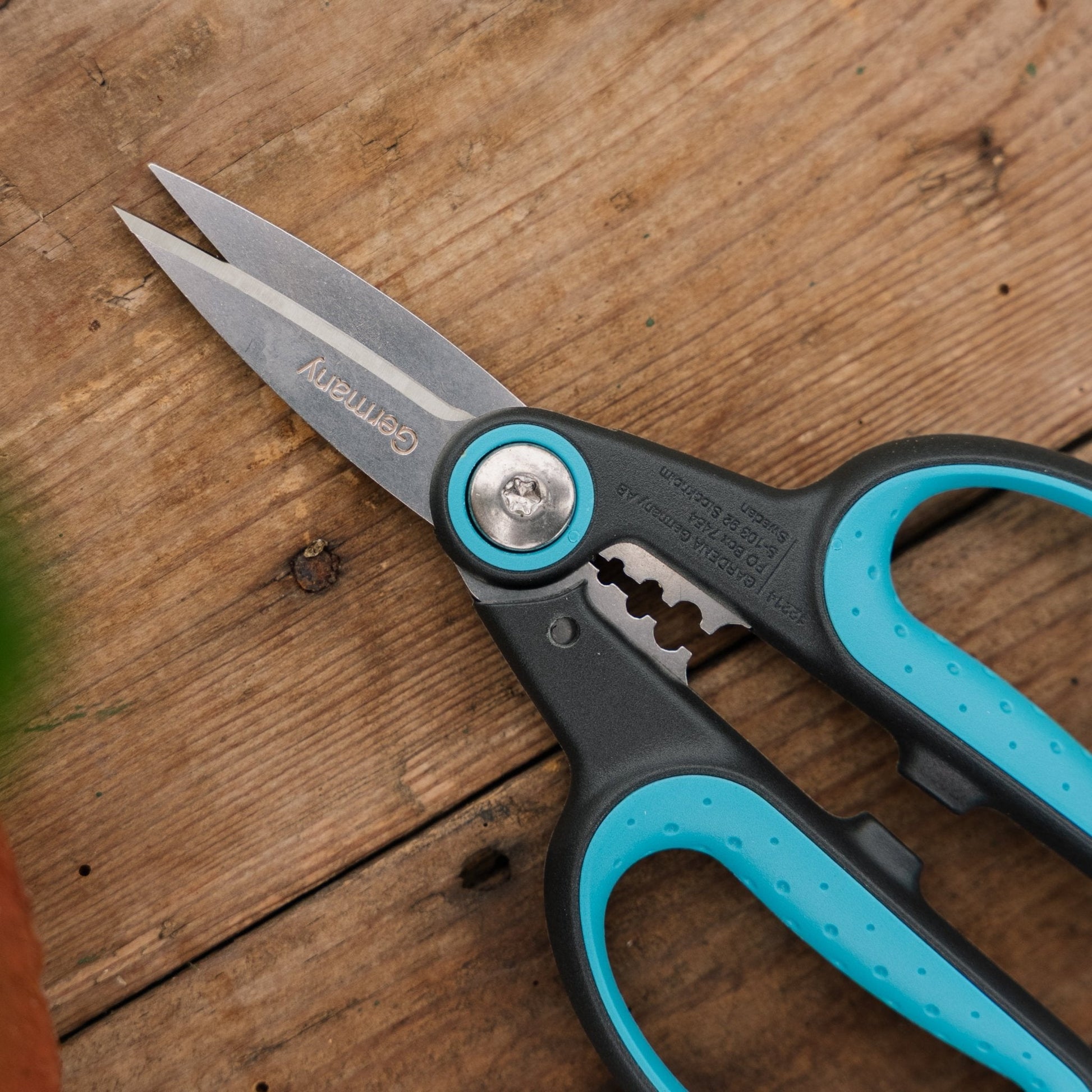 HerbCut Kräuterschere