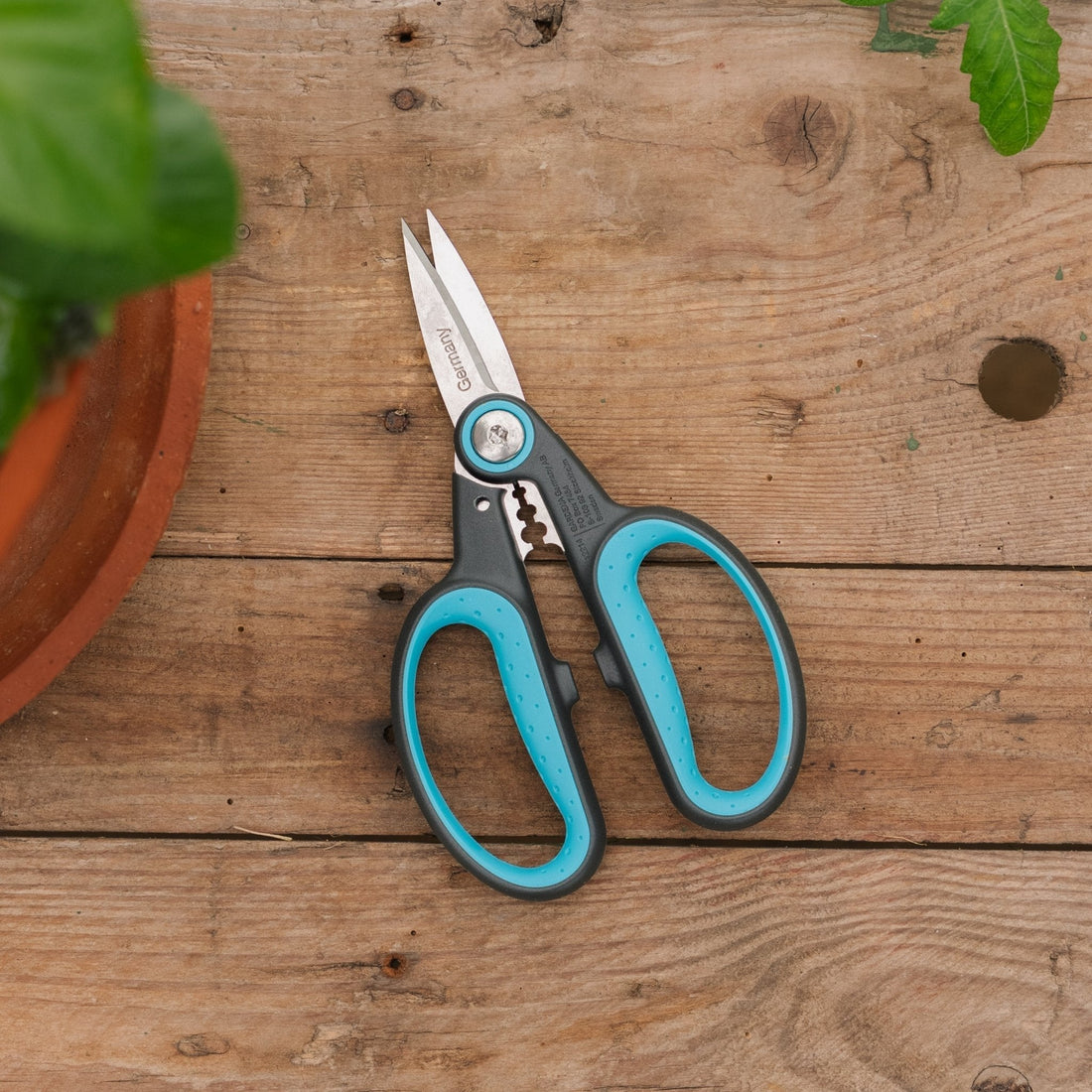 HerbCut Kräuterschere