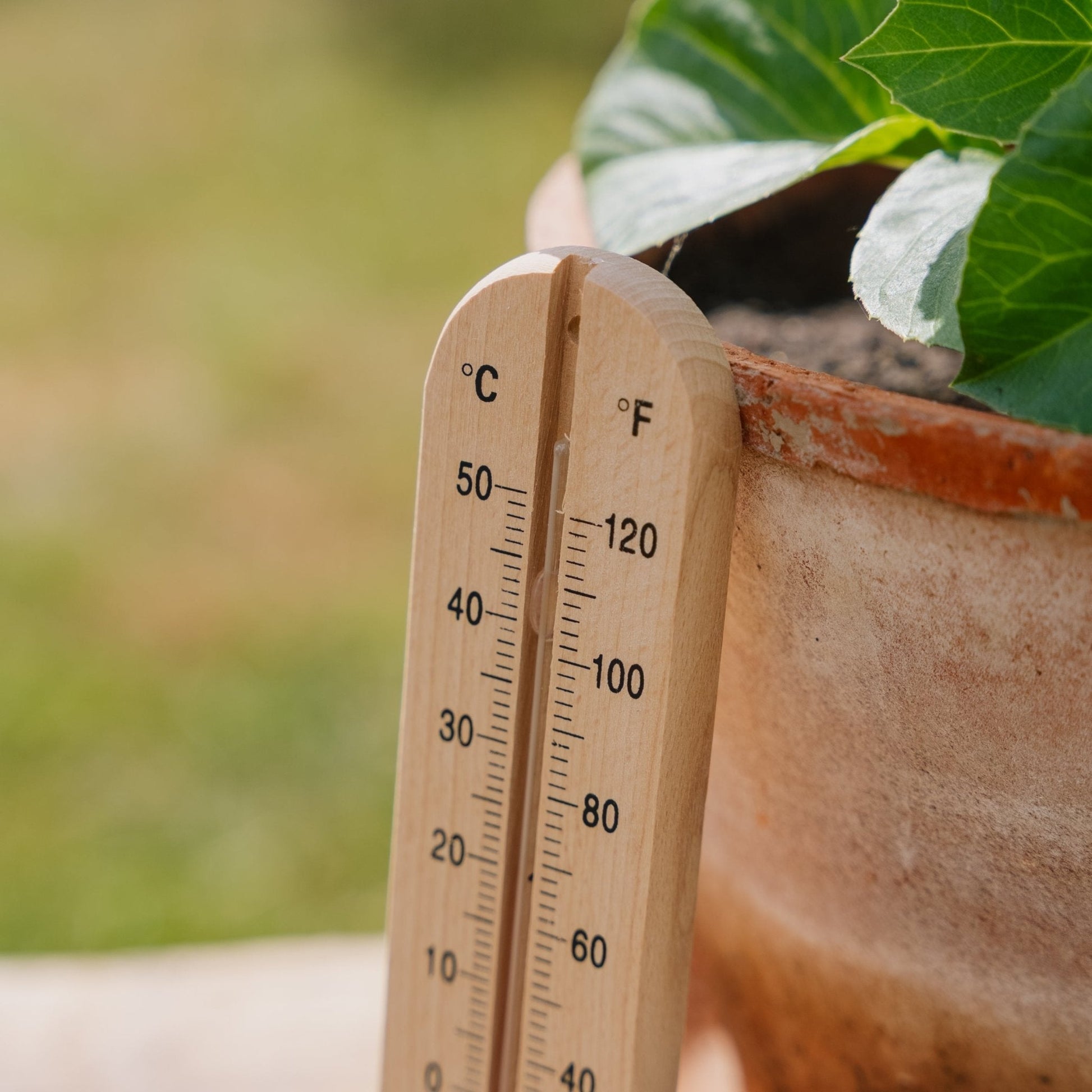 Holzthermometer aus Holz