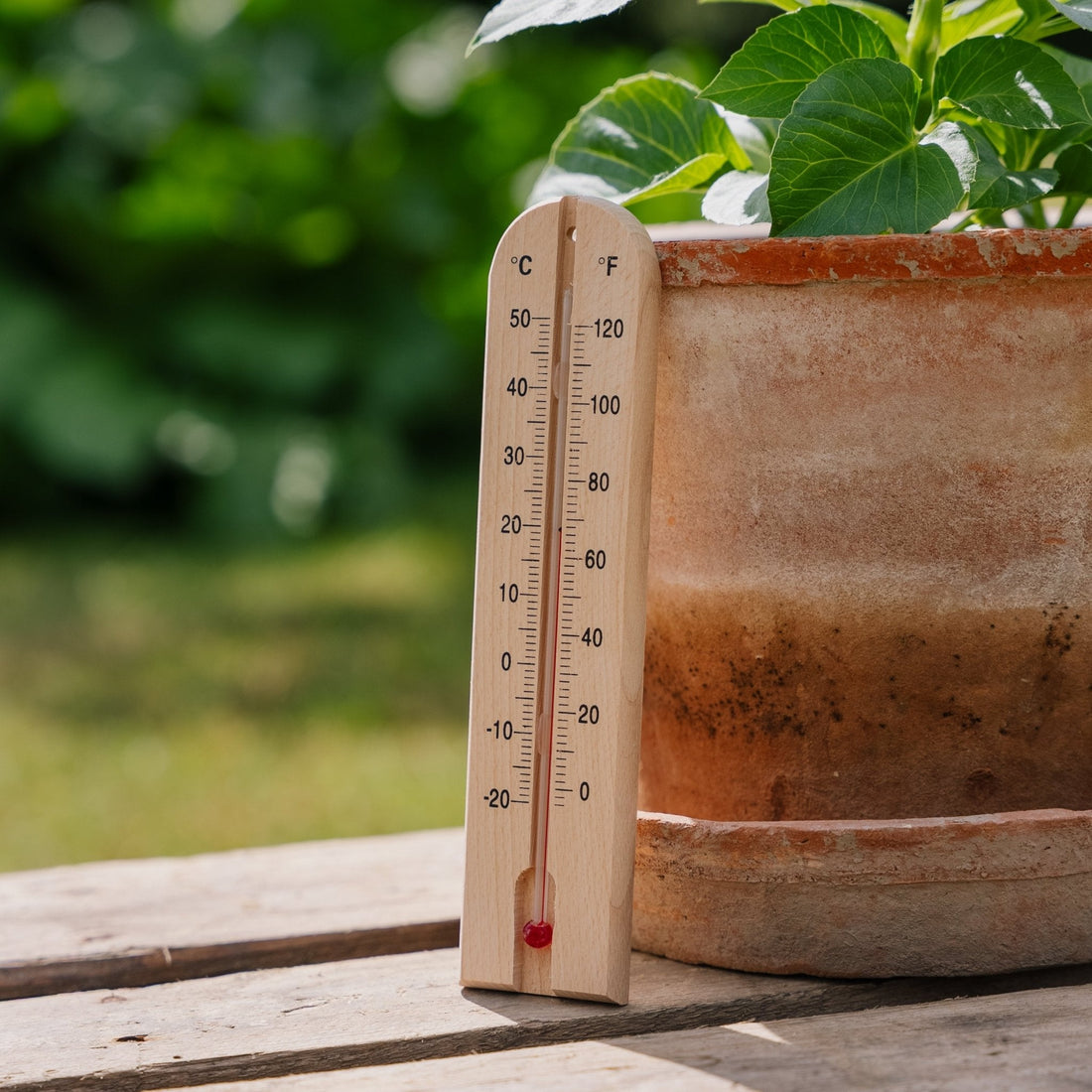 Holzthermometer aus Holz