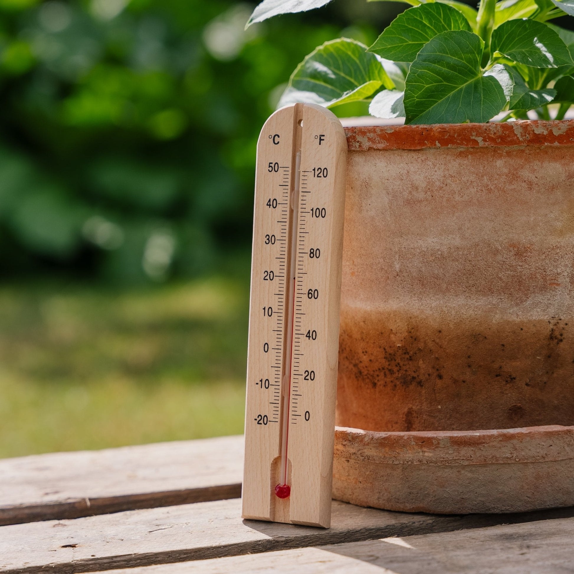 Holzthermometer aus Holz