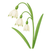 Frühblüher