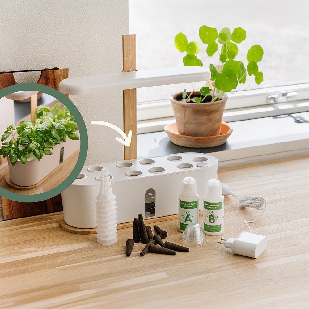 Innenküchengarten, groß